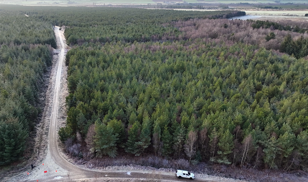 An aerial drone view of an infected forest.