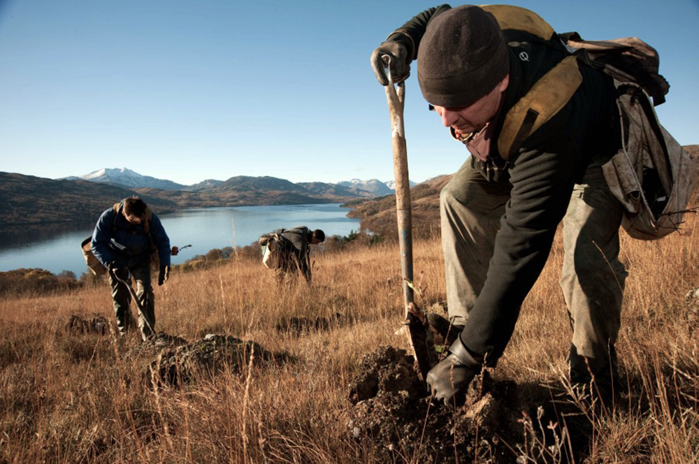 A forestry worker planting new trees in Scotland