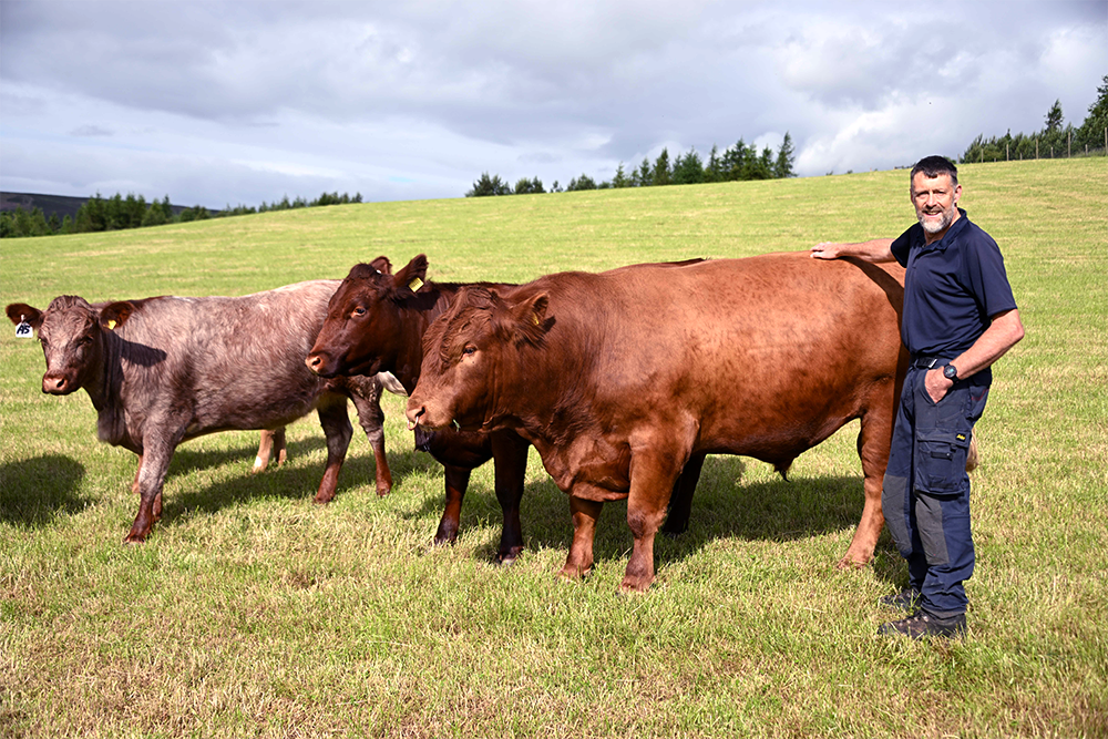 Donald Barrie with some of his cattle at Glensaugh.