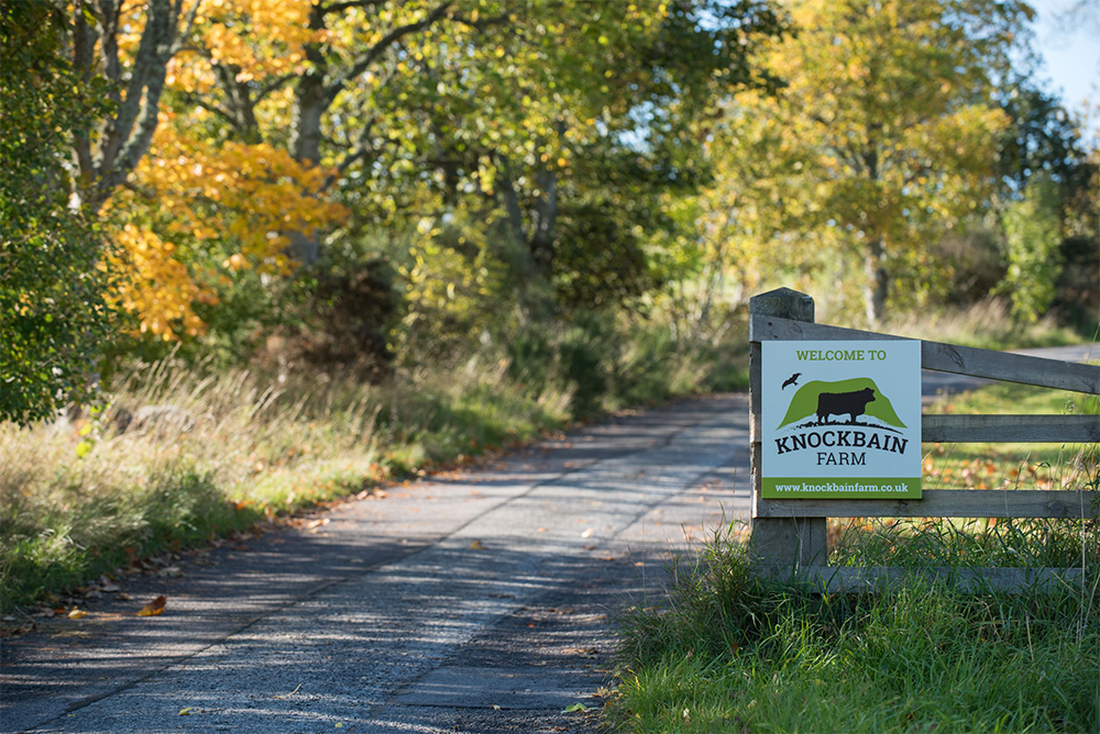 The road way to Knockbain Farm.