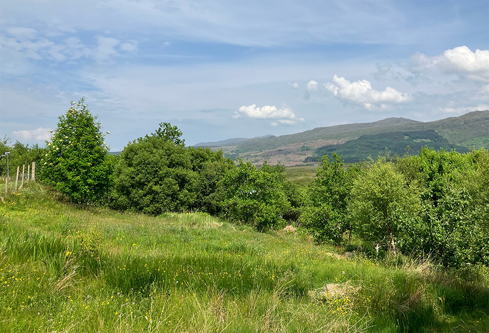 The landscape around Phil Knott's Wildlife Croft on the Isle of Skye.