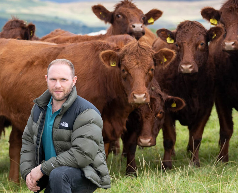 Andrew Whiteford with some of his cattle.
