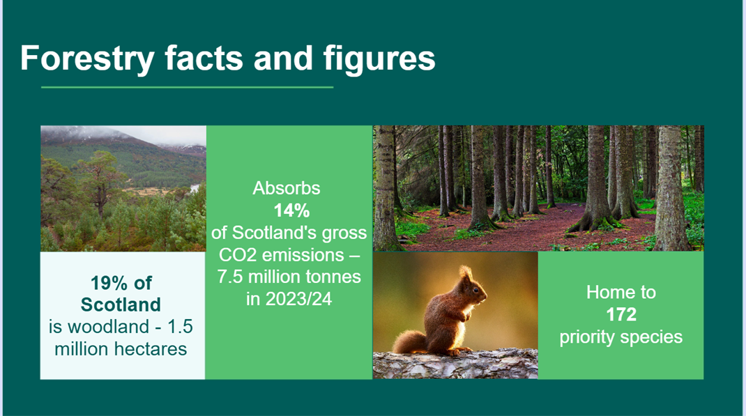 Slide 3 of the Forestry in Scotland presentation - Forestry facts and figures.
