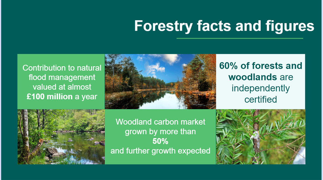 Slide 6 of the Forestry in Scotland presentation - Forestry facts and figures.