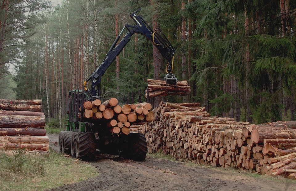 felling permissions.jpg