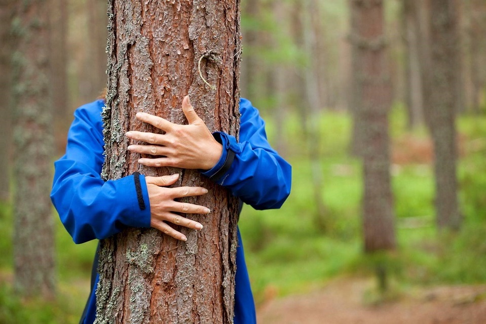 hands round tree amended.jpg